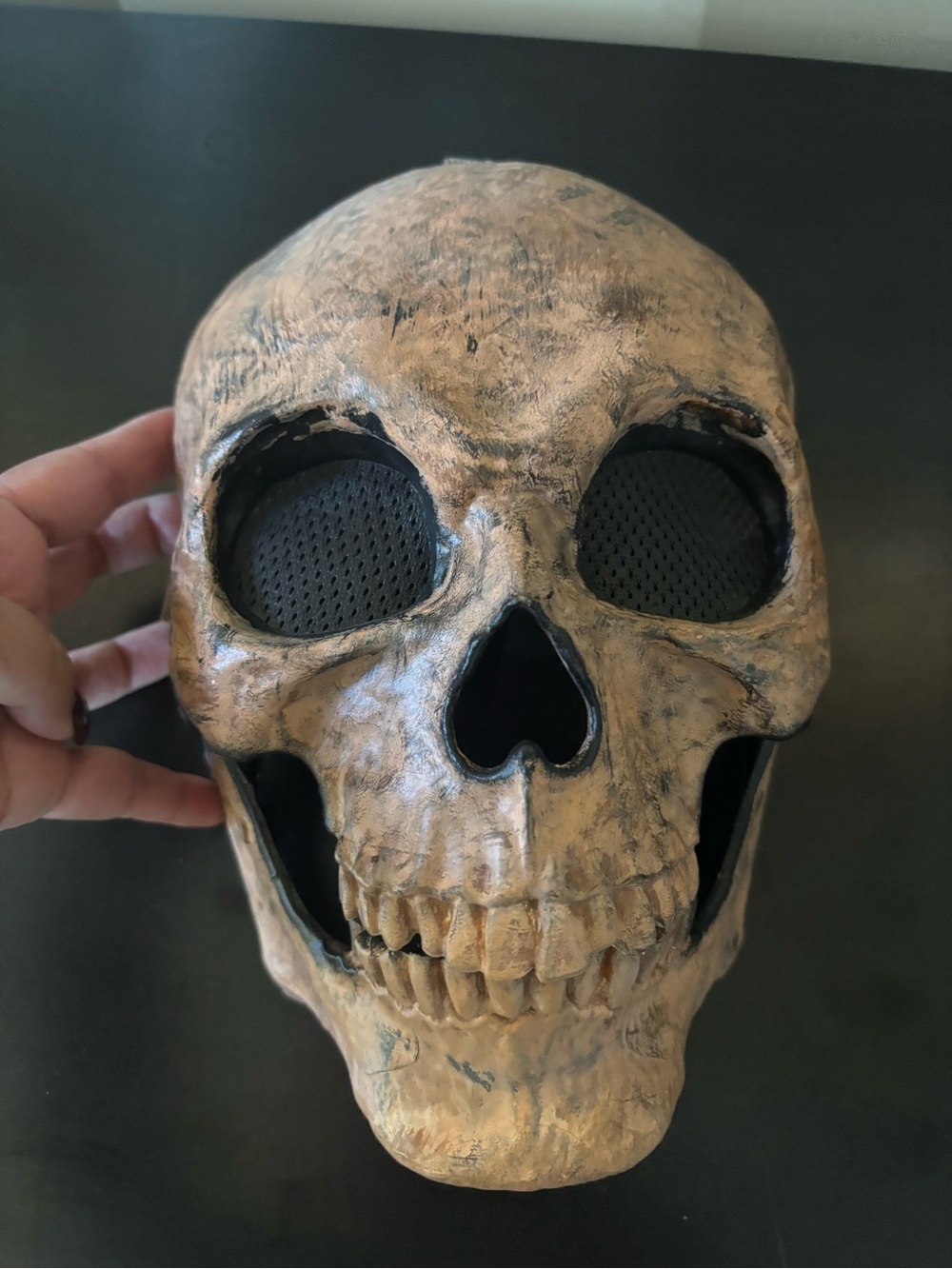 Aged Bone Skull Decor in Tan